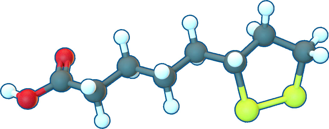 Image of Alpha Lipoic acid | C8H14O2S2 | Supreme Pharmatech